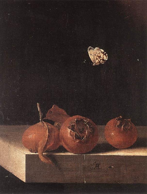 COORTE, Adriaen Three Medlars with a Butterfly df France oil painting art